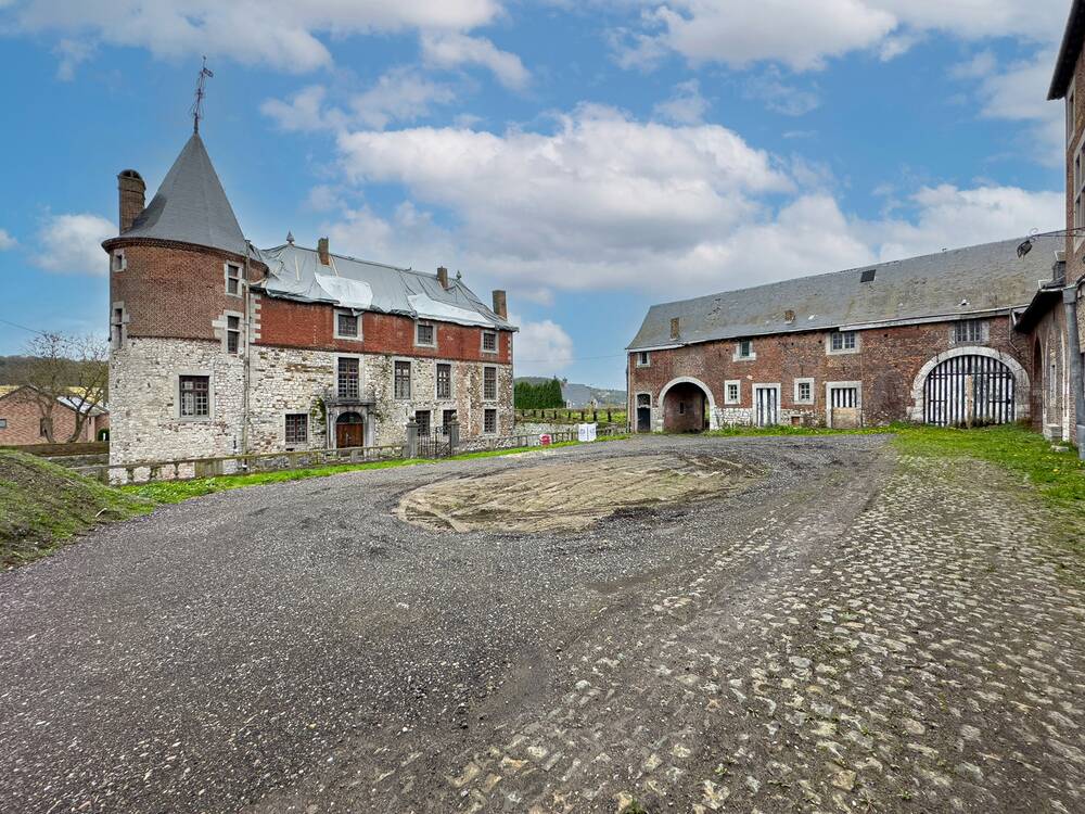 Château à vendre à Flémalle 4400 570000.00€ 11 chambres 800.00m² - annonce 143282