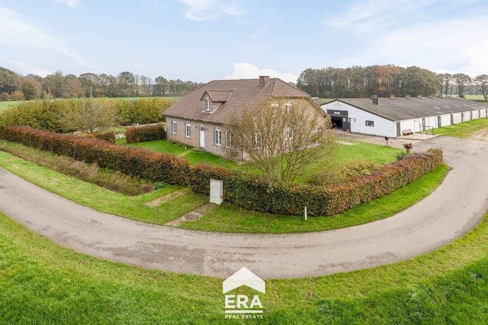 Ferme à vendre à Peer 3990 0.00€ 5 chambres 310.00m² - annonce 314163