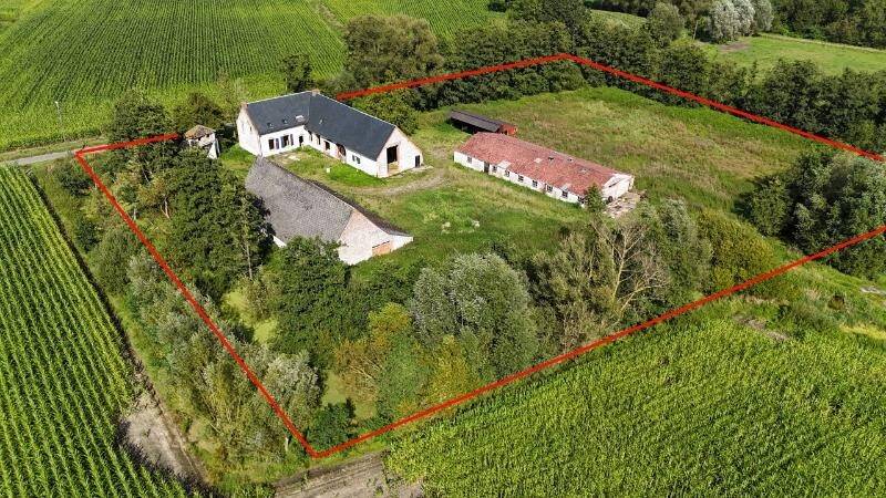 Ferme à vendre à Putte 2580 950000.00€ 5 chambres 500.00m² - annonce 318696